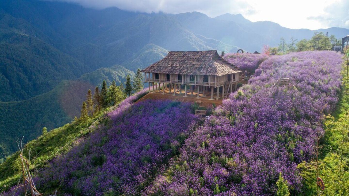 Where is Sapa Vietnam? Explore Vietnam's Northwestern Beauty 10 Uncover the secrets of where is Sapa Vietnam