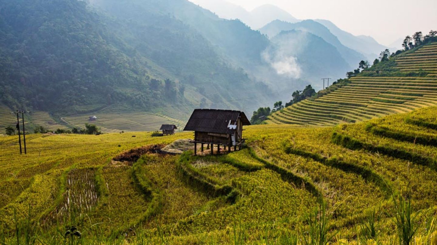 Where is Sapa Vietnam? Explore Vietnam's Northwestern Beauty 9 Discover the beauty of where is Sapa Vietnam