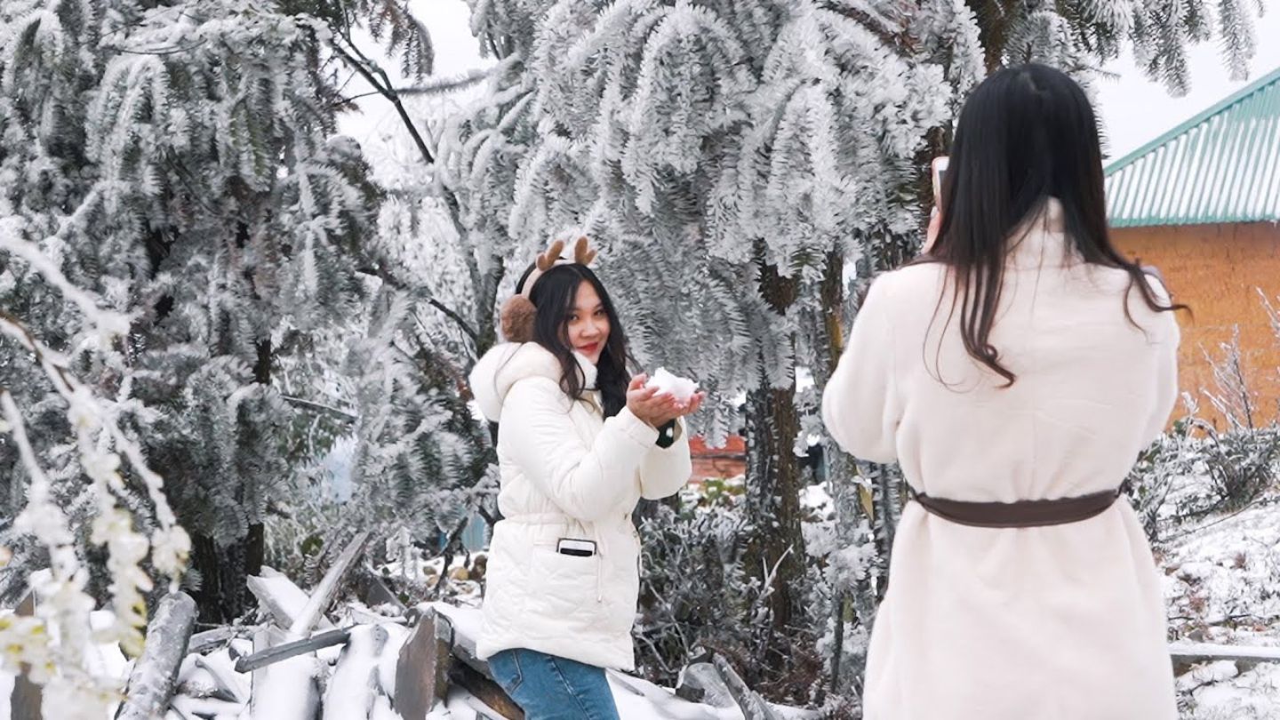 Fansipan Snow: Vietnam's Snow-Covered Mountain Paradise 10 The tranquility of Fansipan snow-blanketed forests