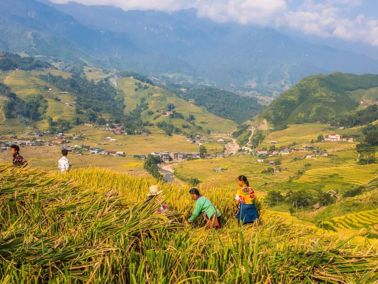 Where is Sapa Vietnam